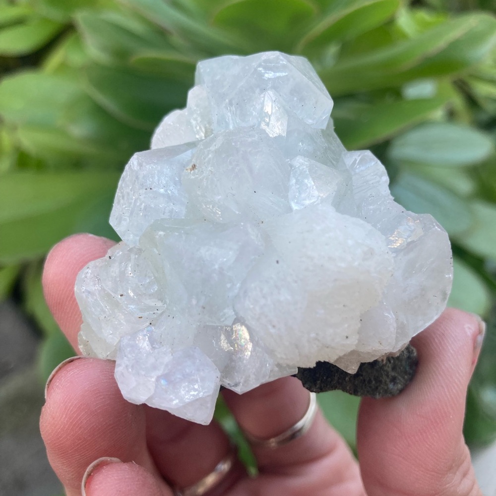 Beautiful apophyllite cluster from India